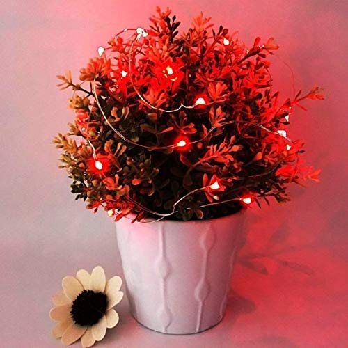NiniTe LIGHTS 24 Pack Fairy Lights 6.6ft 20 LED Copper String Lights Red for Wedding Party Festival Halloween Christmas