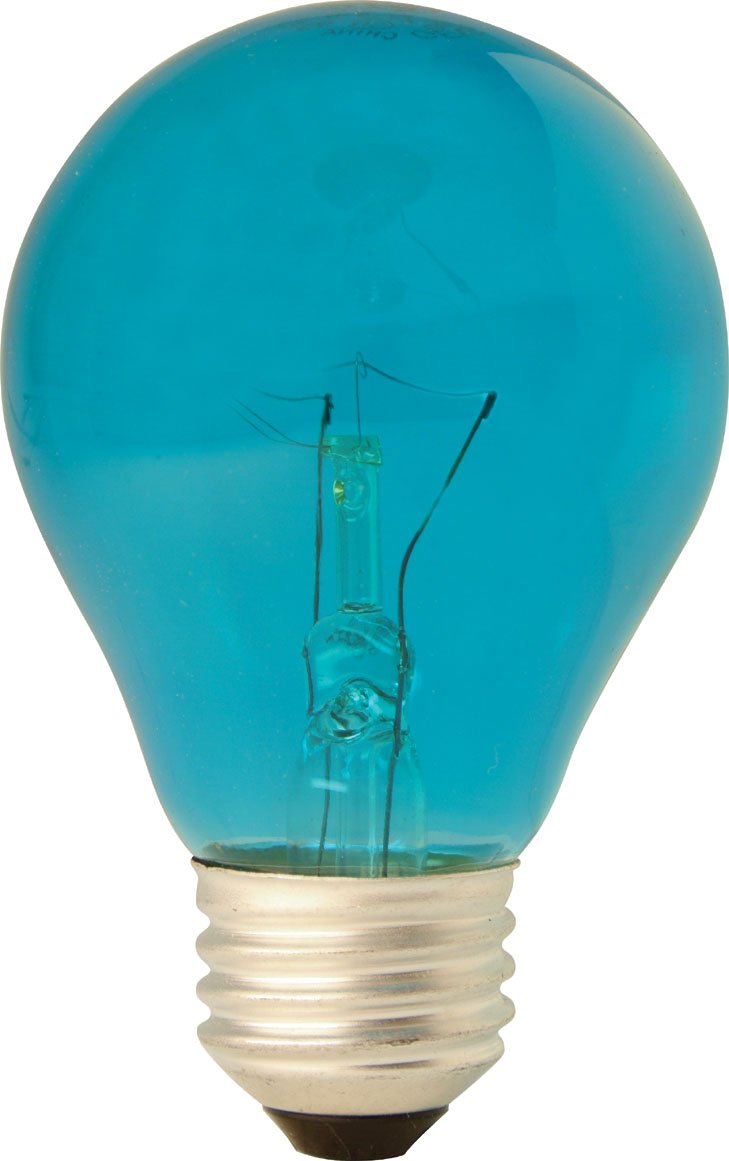 Ge Party Light 22732 25-Watt Teal A19 Light Bulb With Medium Base, 1-Pack