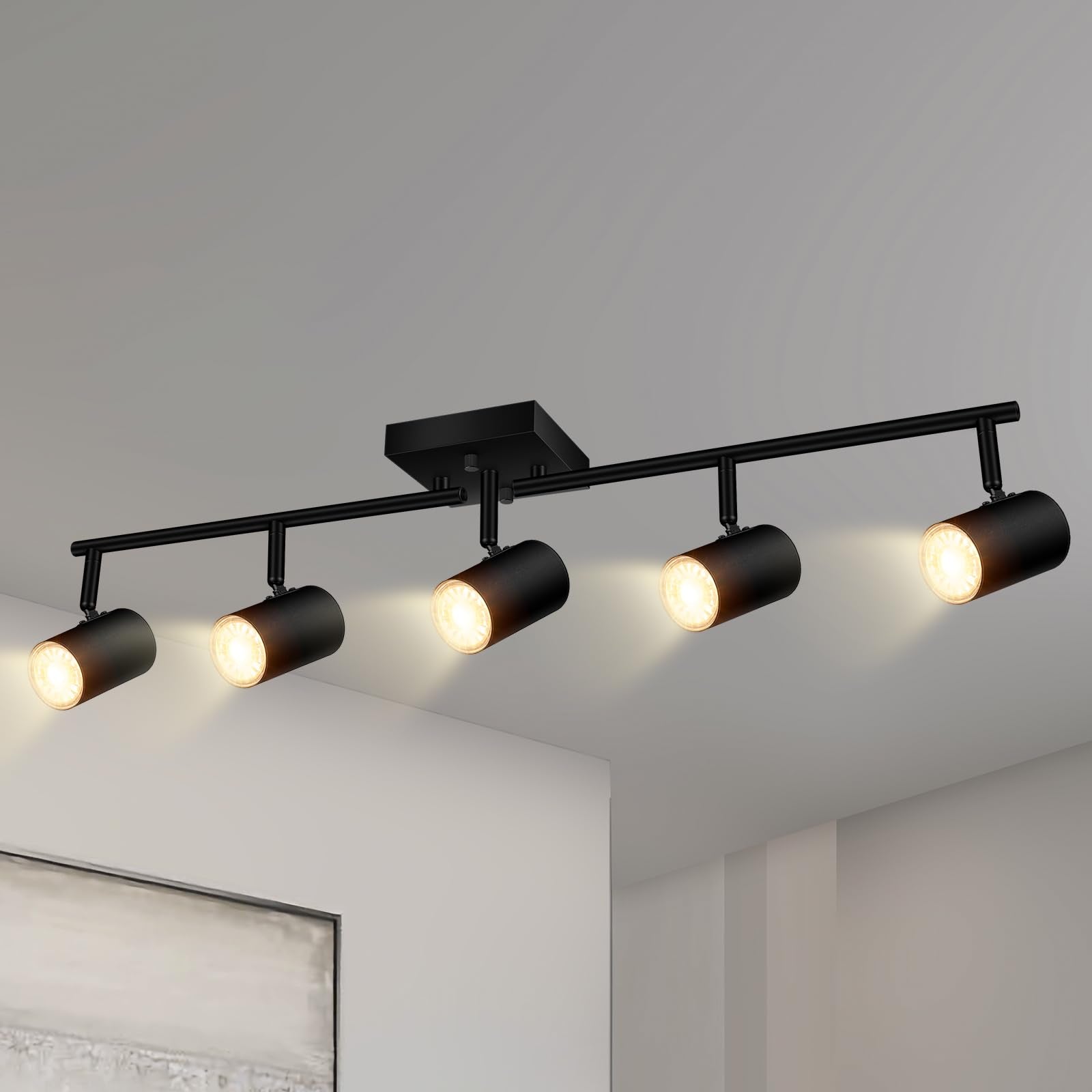 BoostArea Track Lighting Kit, 5 Light Ceiling Fixtures, Rotatable Heads, Metal, Black, Model C0551