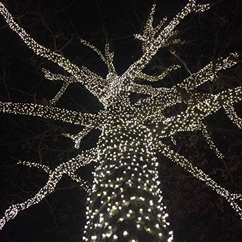 Novelty Lights 50Ft 100 Pure White Mini Led String Lights Outdoor/Indoor Connectable Christmas Lights On Green Wire, Commercial