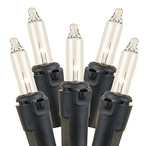 Novelty Lights 22 Feet 100 Bulbs Traditional Incandescent Mini Lights, Clear on Black Wire with 2.5 Spacing, Commercial Grade an