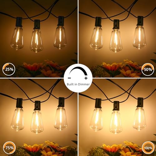 Brightever 100FT 3 Color in 1 LED Outdoor String Lights with Remote, Dimmable Edison Lights for Patio, Model CMPC-O50XA