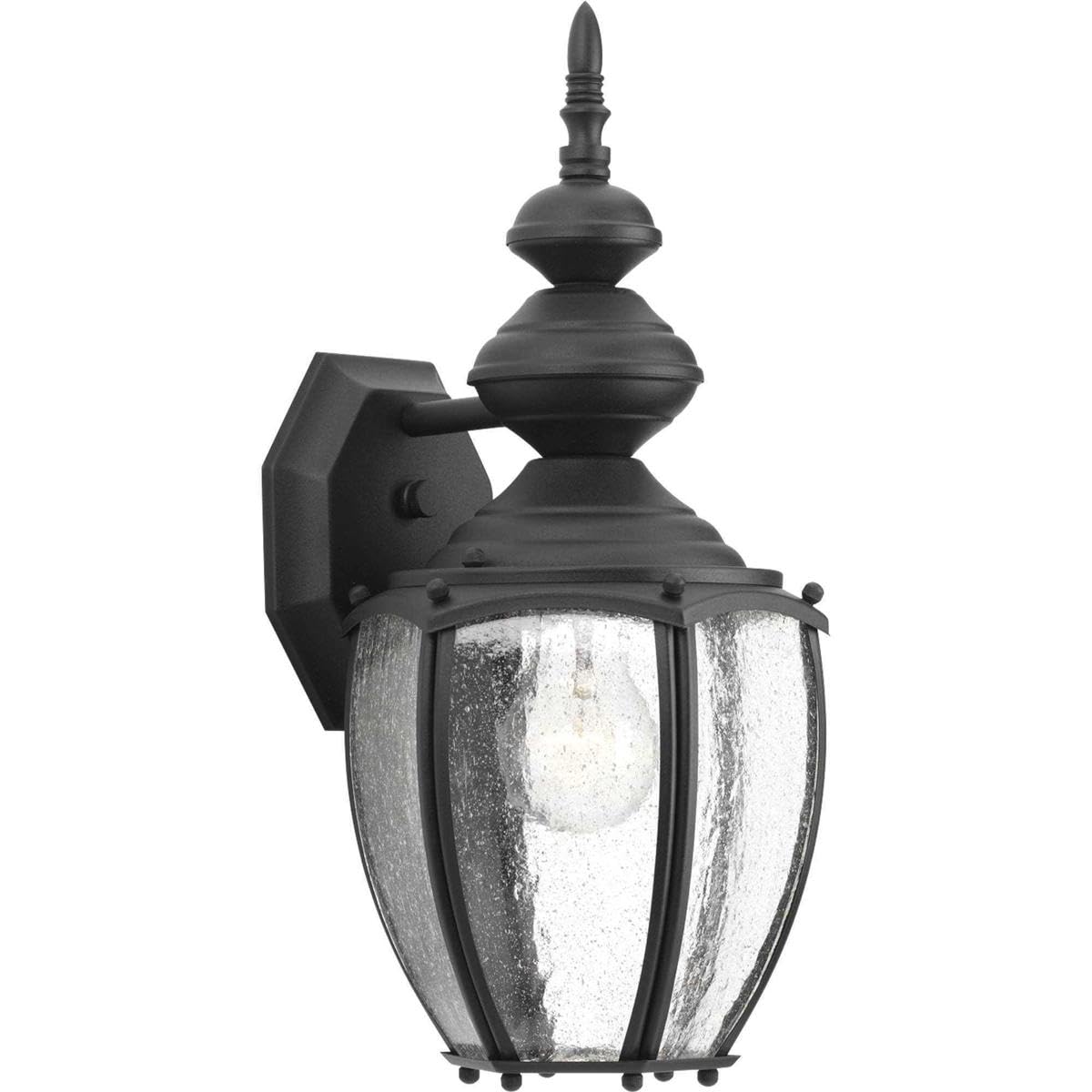 Progress Lighting P5765-31 Outdoor Coach Light, Aluminum, Black
