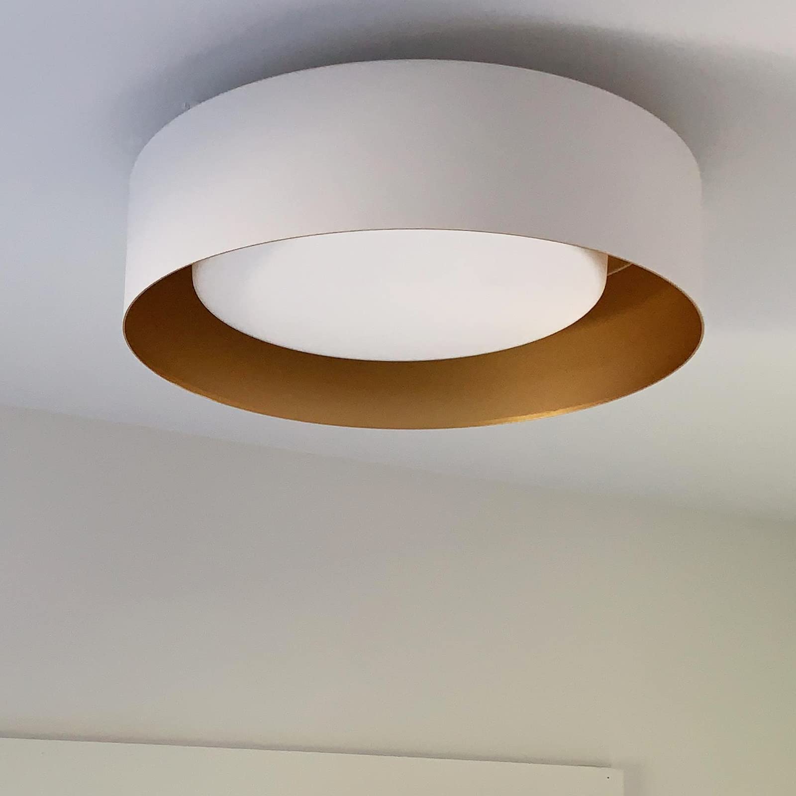 Autelo Close To Ceiling Light Fixture, 14" Frosted Glass Shade Flush Mount Ceiling Light In White Finish E26 Socket For Living Room Hallway Bedroom C3336Xs Wh