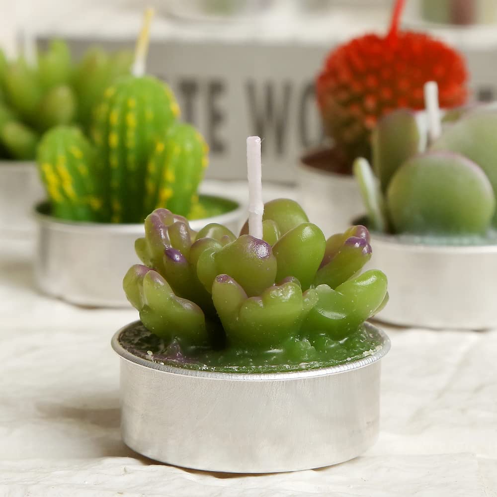 SSleng 12pcs Cactus Tealight Candles, Handmade Paraffin Wax, 1.57in, Decorative Succulent Candles for Parties, Weddings, Home Decor