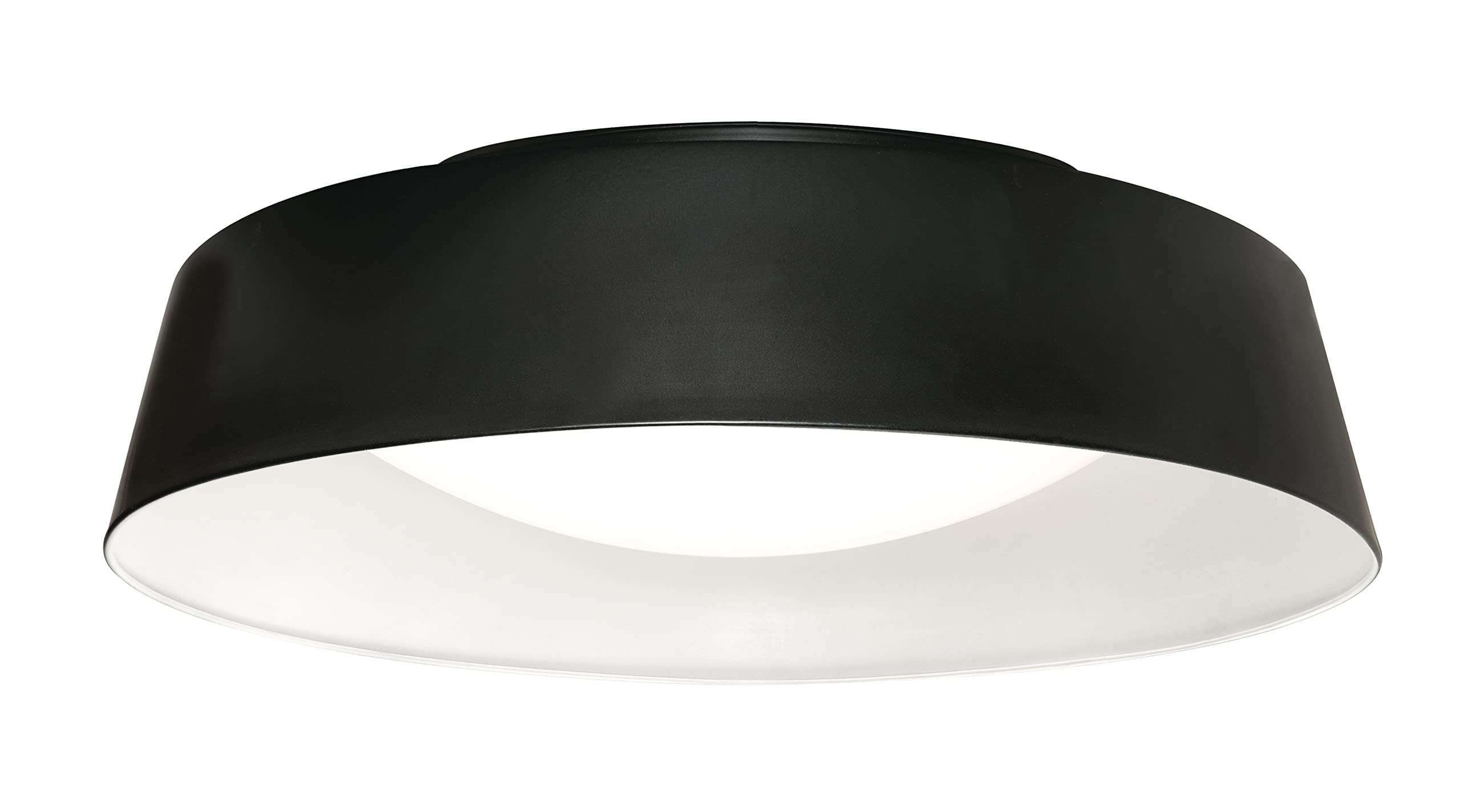 Duncan 20 LED Flush Mount - Black/White