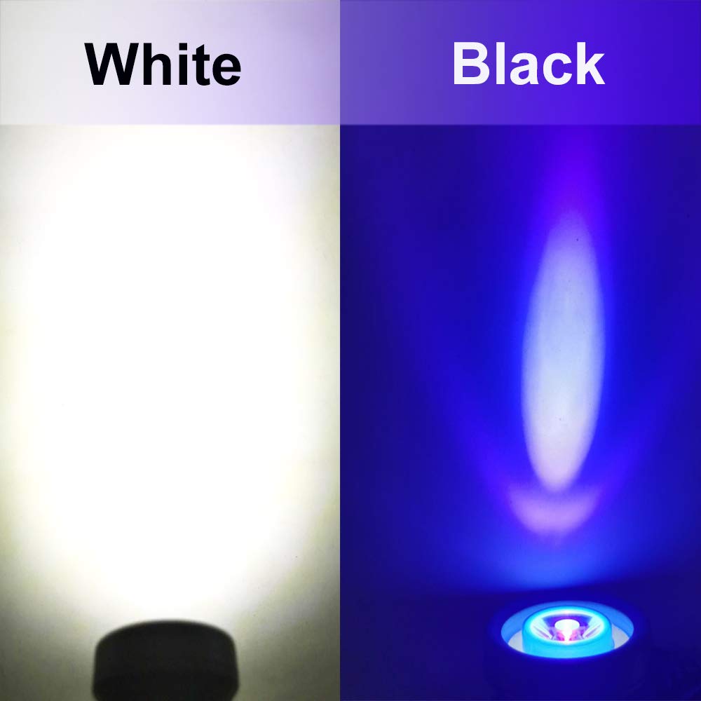 QNLALZM LED UV Blacklight & White Light Headlamp for Scorpion Detection, Pet Urine Stain Detection, Black, 2pcs