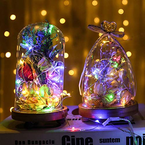 Baisico Waterproof LED String Lights, 2 Pack 20ft, 60 LEDs, Copper Wire, Multicolor Fairy Lights