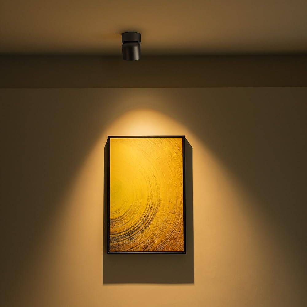 Aisilan 2 Pack Black Led Ceiling Spot Lights, 9W Warm White, Adjustable Indoor Accent Lighting