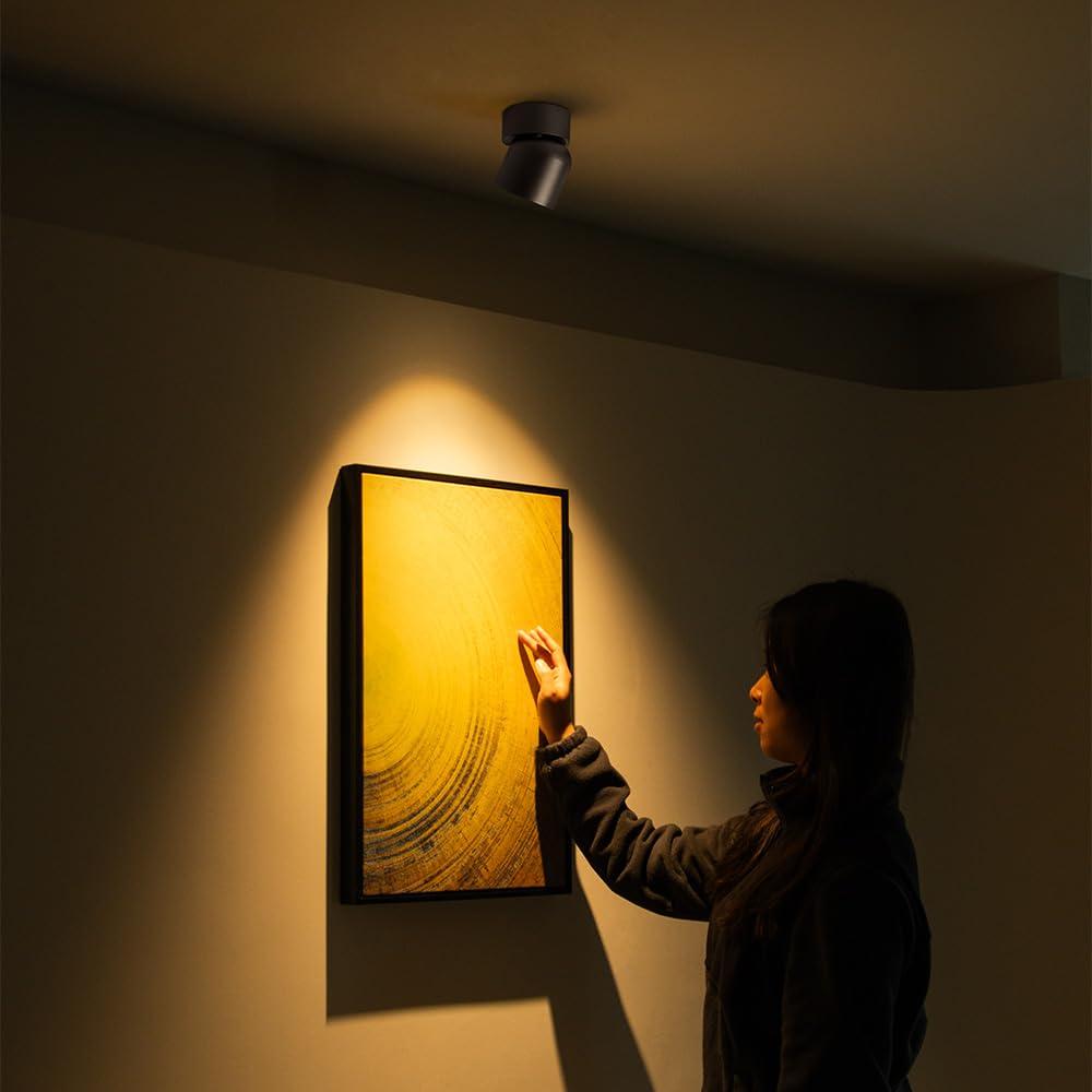 Aisilan Led Ceiling Spotlight Indoor 7W Black Directional Accent Light Fixture With 360° Pivoting Spot Light Lamp, Warm White Cri 97+ For Living Room Bedroom Picture Lighting