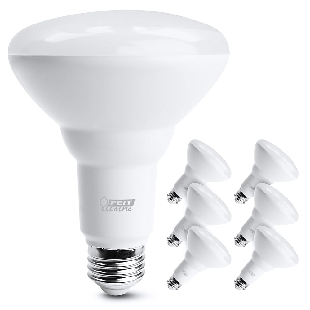 Feit Electric LED BR30 Light Bulbs, Dimmable, 65W Equivalent, 650 Lumens, 5000k Daylight, 6 Count, Model BR30DM/850