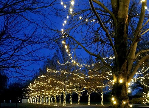 Novelty Lights 24-Pack, 25 Feet 50 Light Brown Wire Led Christmas Lights Outdoor, Commercial Grade, Yellow, 5Mm Bulbs, Ul Listed