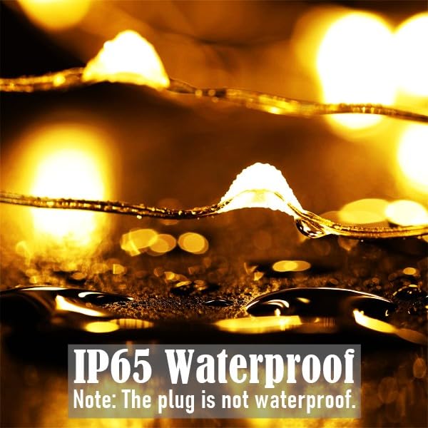 Ruichen 33Ft 100 Led Plug-In Fairy Lights, Warm White Waterproof Copper Wire For Indoor/Outdoor