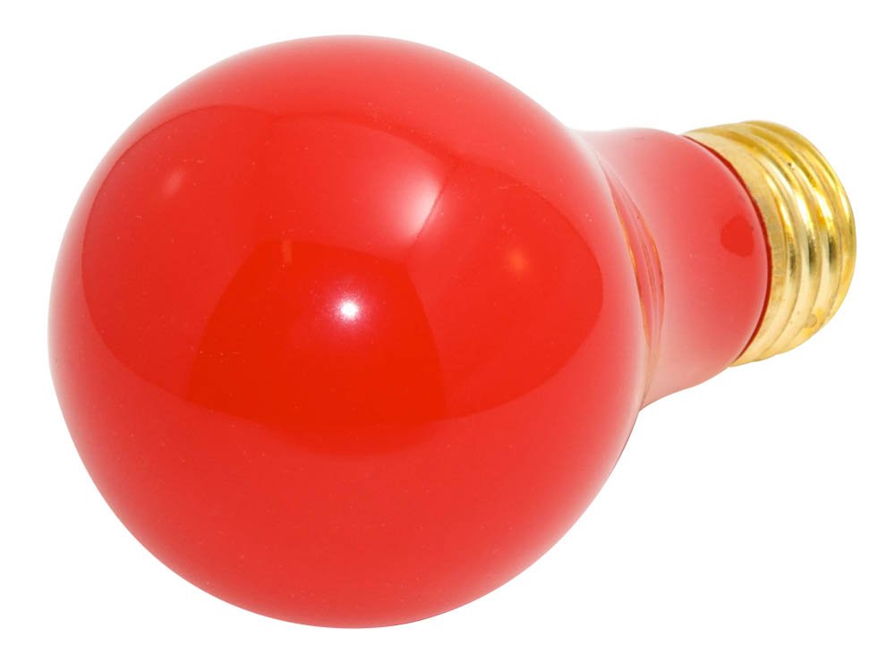 Bulbrite Incandescent A19 Medium Screw Base (E26) Light Bulb, 25 Watt, Transparent Red