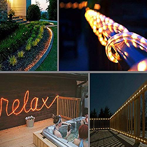 Huizhen Indoor Outdoor Rope Lights,110V 100Ft Connectable Led Rope Lights Outdoor Waterproof Kit For Party,Wedding,Background,Trees,Pool,Eaves Decoration With Ul Certified(Warm White)