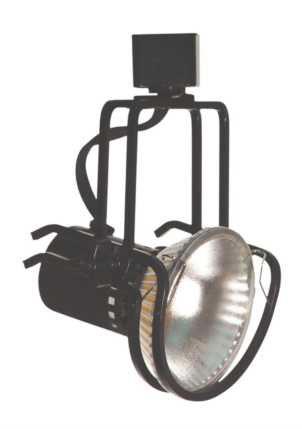 LINE Voltage Fixture (PAR38, 150W)