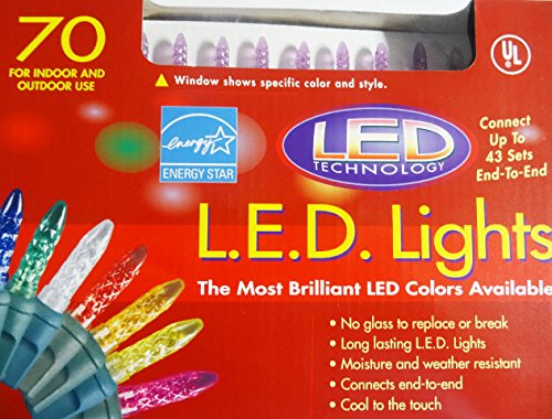 Kellogg Plastics 41612 075 in M5 Base Holiday & christmas Indoor & Outdoor M5 Base LED- Purple