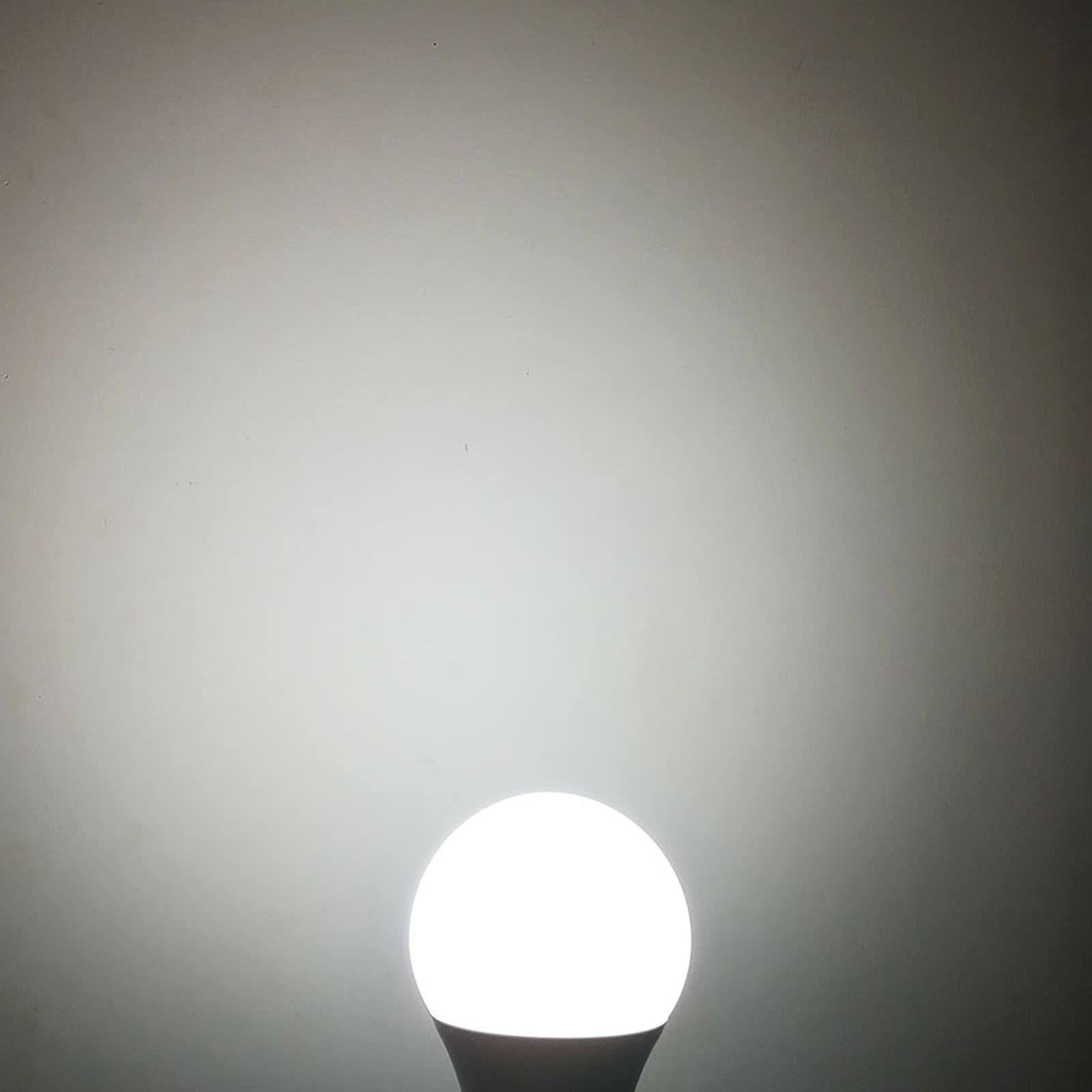 Taysing 12V A19 LED Bulb 9W Cold White 6000K E26 Screw Base - 2 Pack, Low Voltage for RV, Marine, Solar Battery Lighting
