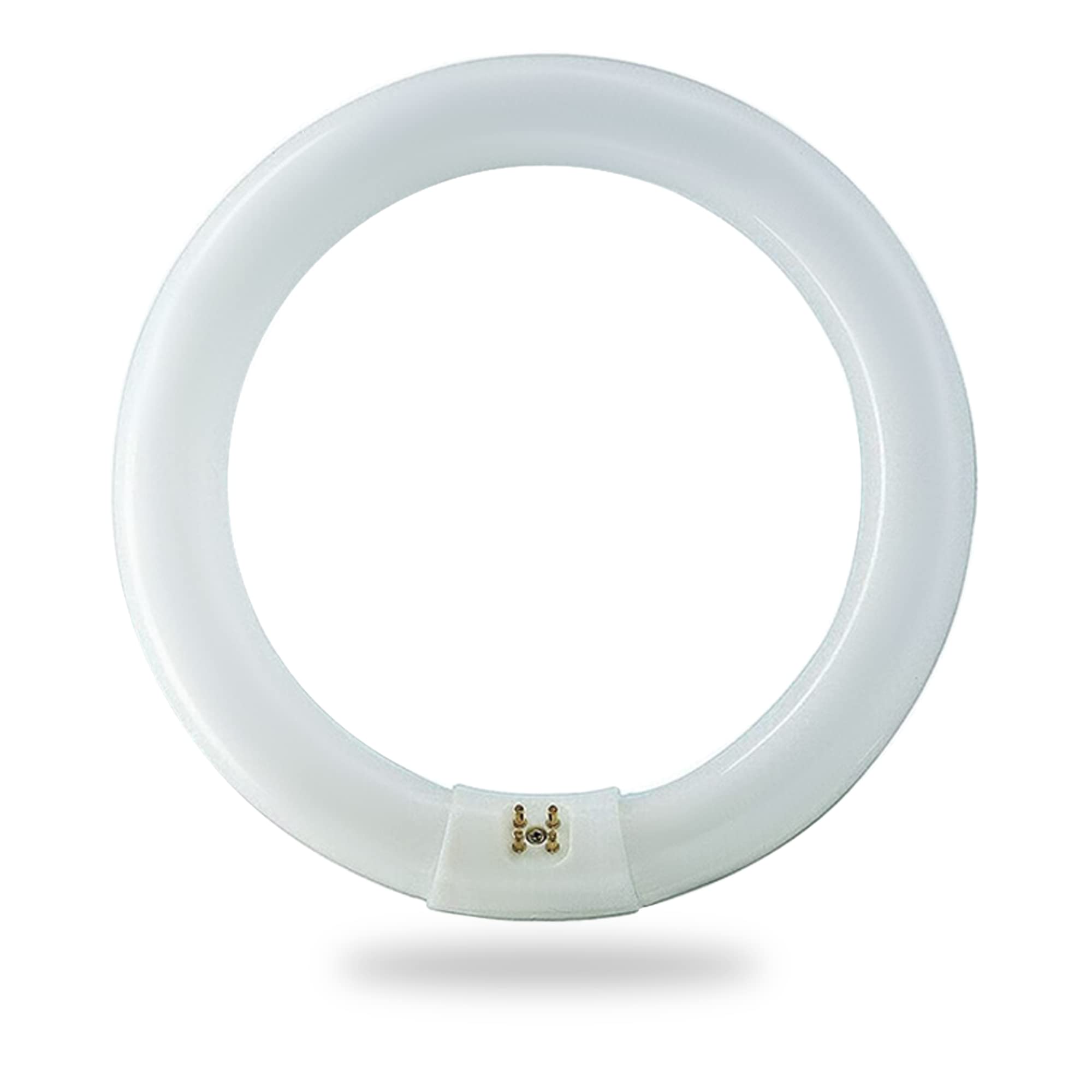 Bulbmaster Fc8T9/Cw 22W T9 Fluorescent Circular Light Bulb, Cool White 4100K, G10Q 4-Pin Base, 8