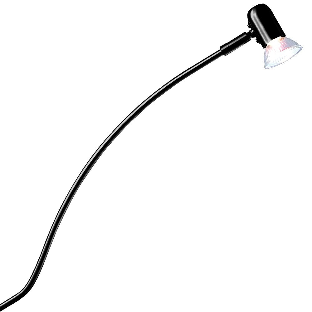 Jesco Lighting Ivonne One Light Low-Voltage Clamp Mount Display Lamp, Black Finish, Model JESC4588, Steel Material