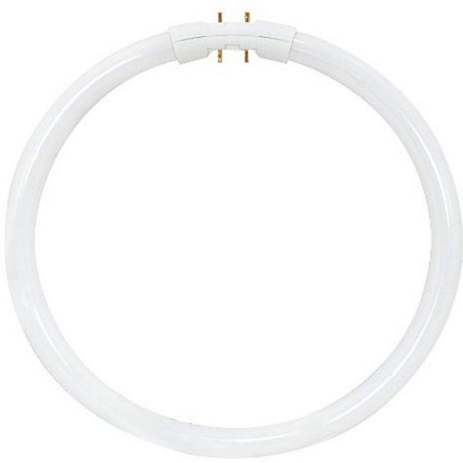 Satco 22-Watt 2GX13 T5 Circline Lamp, Cool White, Model S8157, Glass Construction