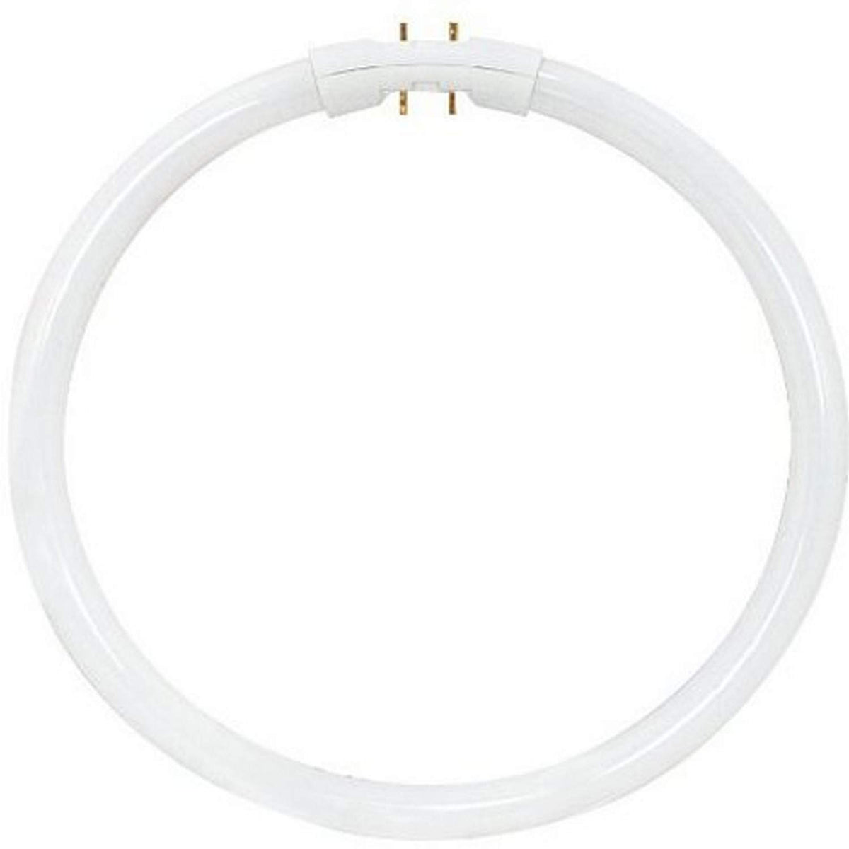 Satco S8157 22W 4100K T5 Circline Lamp - Cool White Glass High Performance Lighting