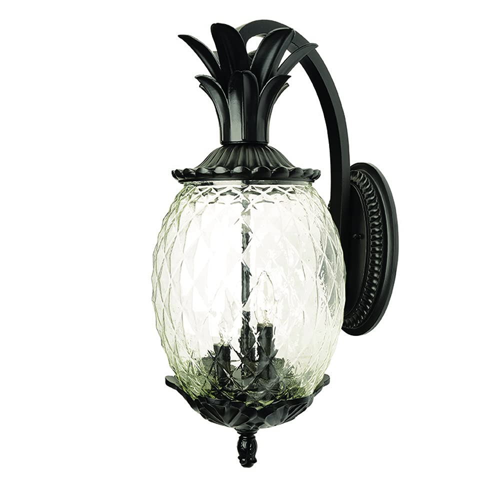Acclaim Lighting | 7512BK | Lanai Collection | Large Outdoor Wall Mounted Pineapple Dimmable Lantern | Durable Anti-Rust Cast Al
