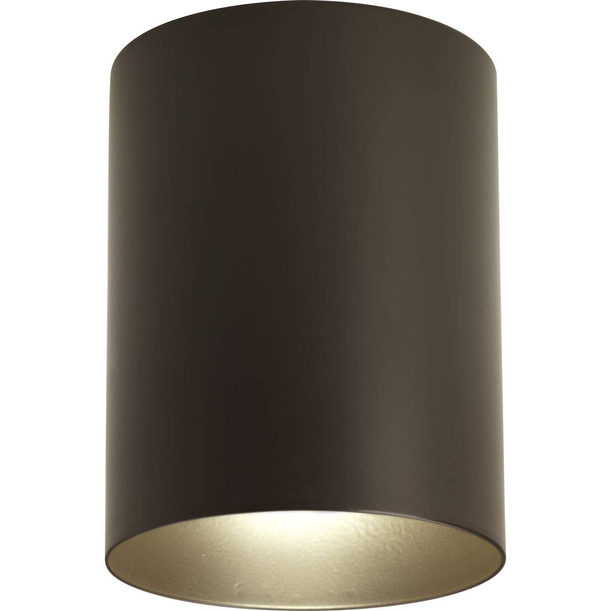 Progress Lighting P5774-20/30K 1 Light Wall Bracket
