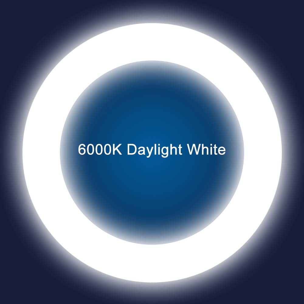 Iledlight T9 Led Circline Light Bulb 8 Inch 1600Lm 13W 6000K Daylight Replacement Fc