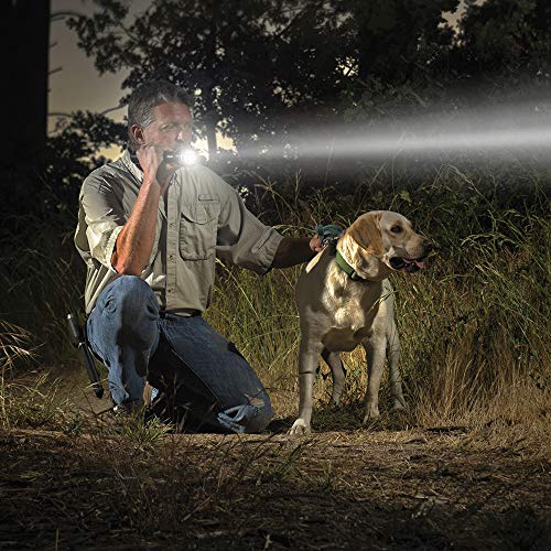 MagLite Heavy-Duty 5-Cell D Flashlight, Red Aluminum in Display Box, Model S5D035