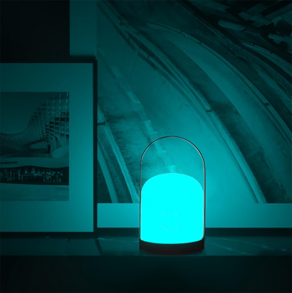 Mr.Go Portable Led Lantern Table Lamp | Cordless & Usb Rechargeable | Remote Control & Dimmable | 16 Rgb Colors & Kids Bedroom O