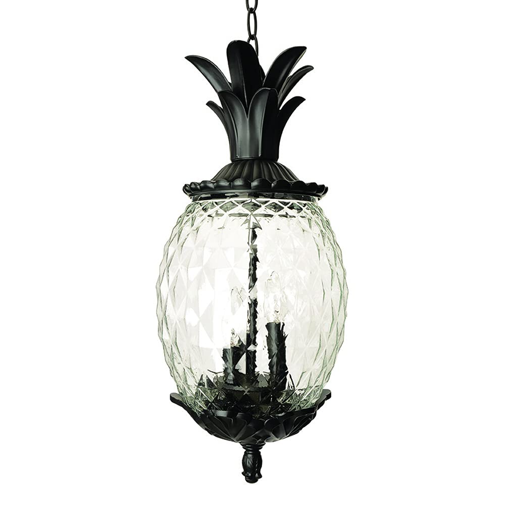 Acclaim Lighting | 7516BK | Lanai Collection | Large Outdoor Hanging Pineapple Dimmable Lantern | Durable Anti-Rust Cast Aluminu