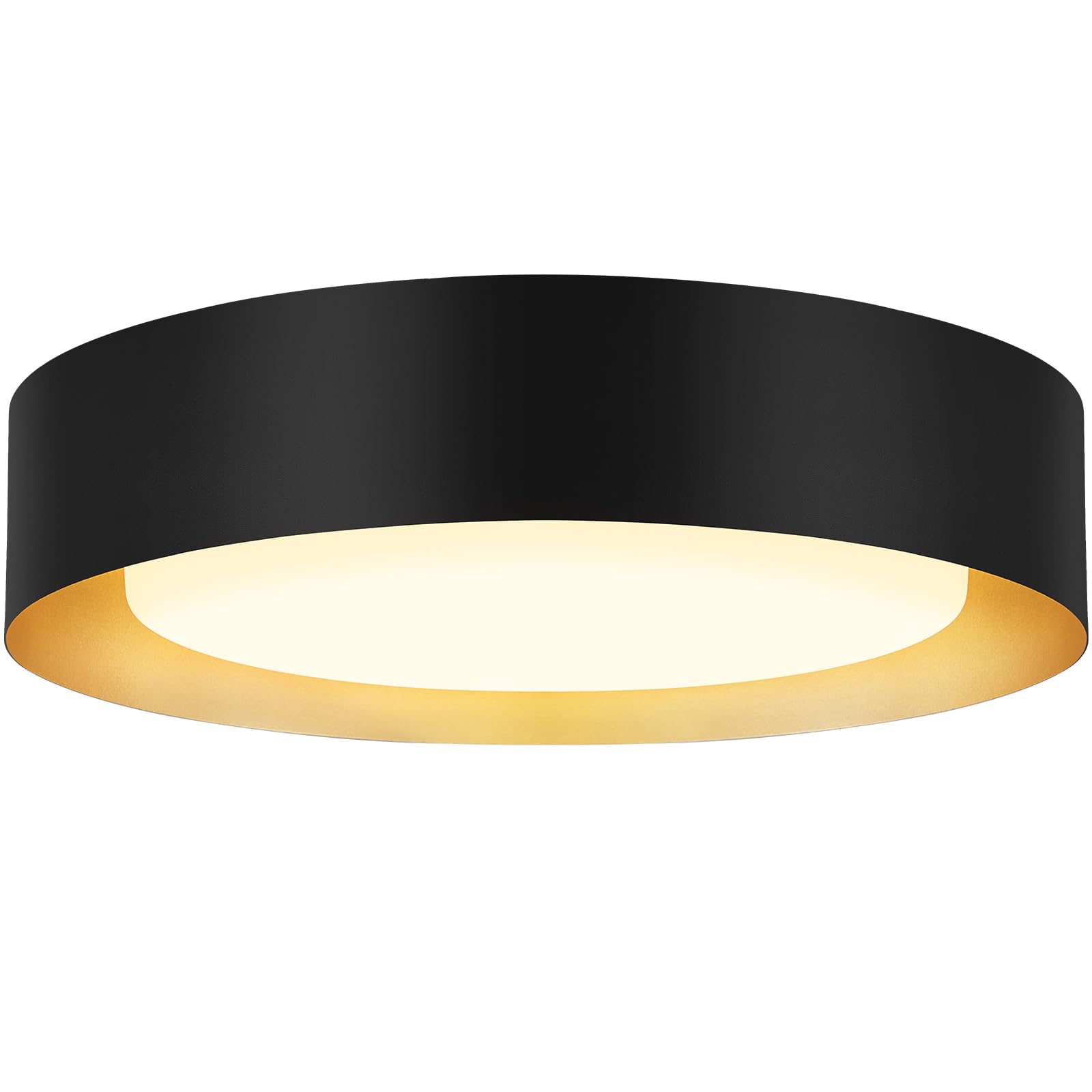 Goomavi Modern Flush Mount Ceiling Lights,Minimalist 16.5IN Round Close to Ceiling Light Fixtures,Black and Gold Metal Ceiling L