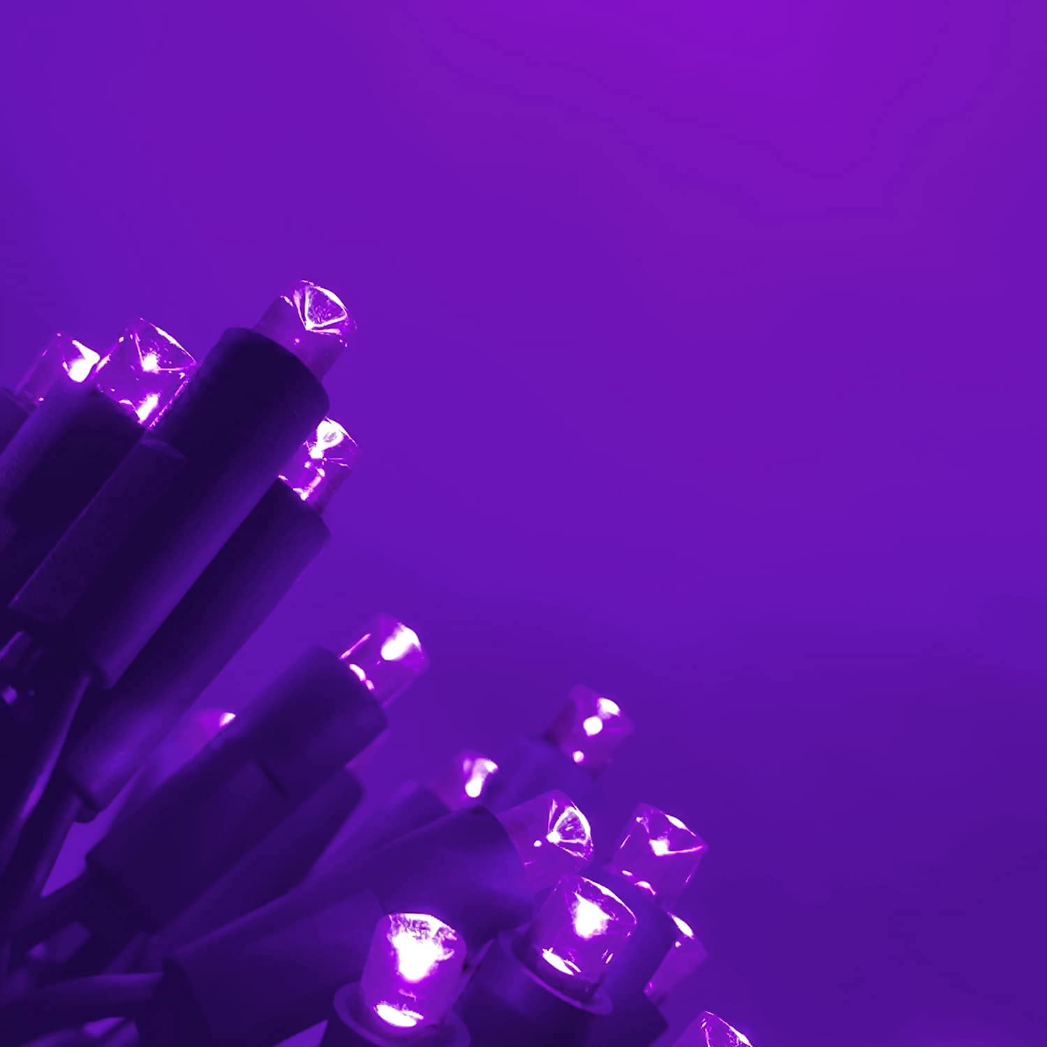 Everfit Lighting 50 Count 5mm LED String Lights, 17 Feet Green Wire, Purple Color, Outdoor Mini Lights for Garden and Holiday Decorations