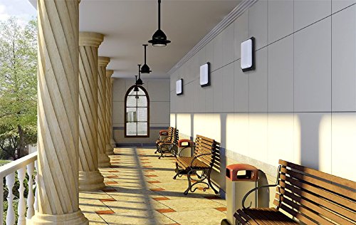 Esenlite 12W Outdoor/Indoor Led Security Light, Dusk To Dawn, Waterproof Ip65, Black