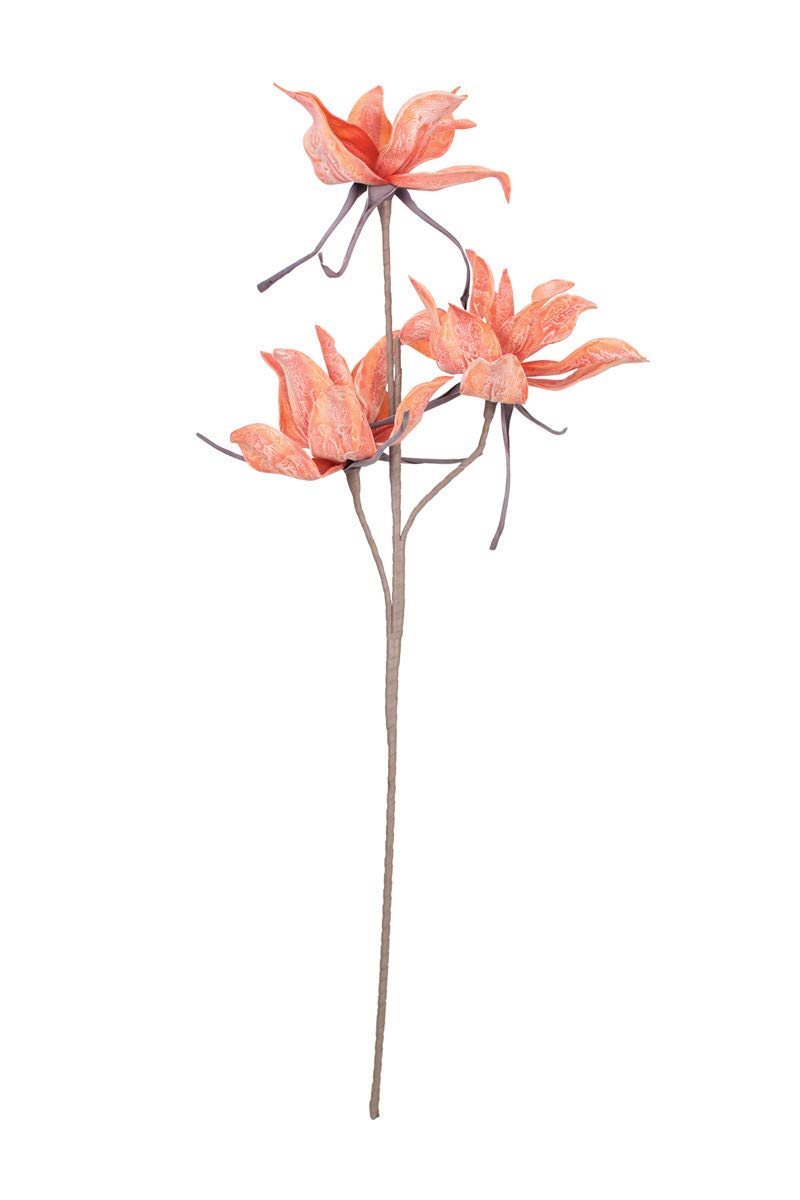 Kalalou Csl2345 Botanica, See Image