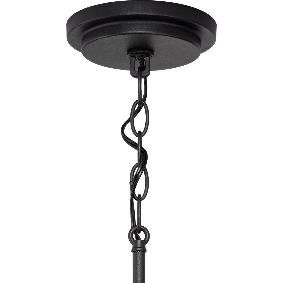 Progress Lighting Briarwood Collection 21 In. 4-Light Textured Black Farmhouse Foyer Chandelier With Painted Ceruse Black