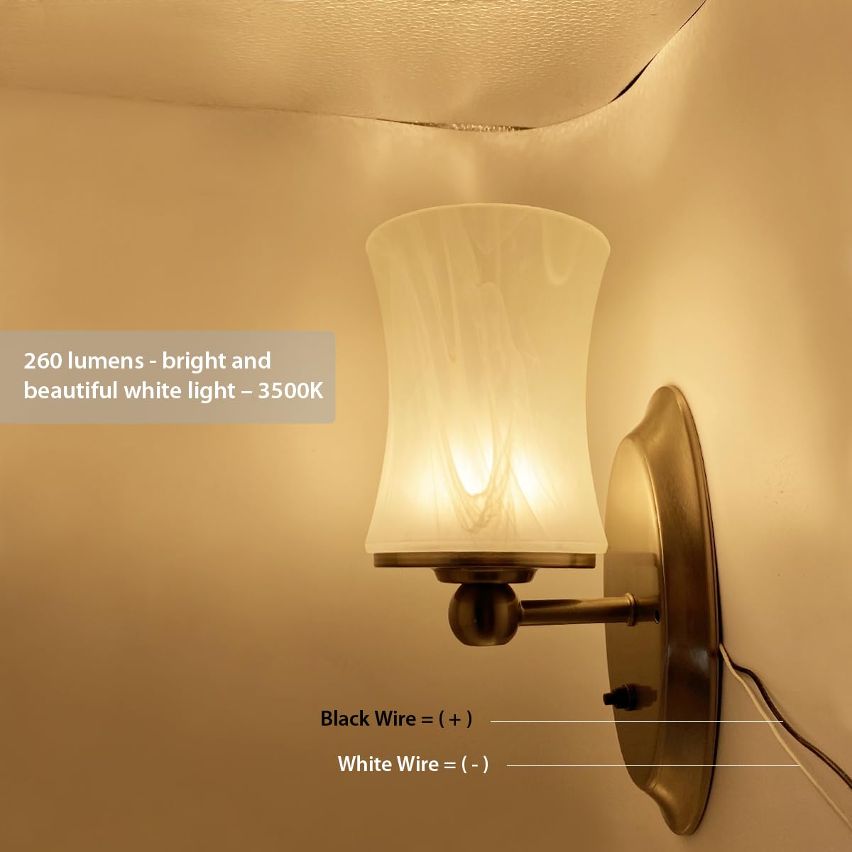 Dream Lighting RV LED Wall Sconce, 12V, Glass Lampshade, Warm White, Coated Steel, H:10in - Model 0018111W