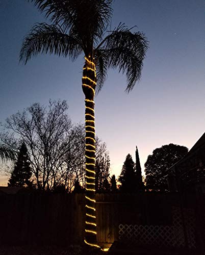 DINGFU 50ft LED Waterproof Rope Lights, Warm White, PVC Tube & Copper Wire, Indoor/Outdoor Use, Connectable for Deck, Patio, and Christmas Decor