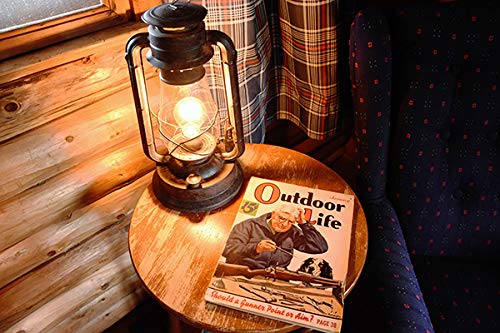 Muskoka Rustic Farmhouse Lantern Table Lamp - Dimmable, Edison Bulb, Ul Listed, Brown