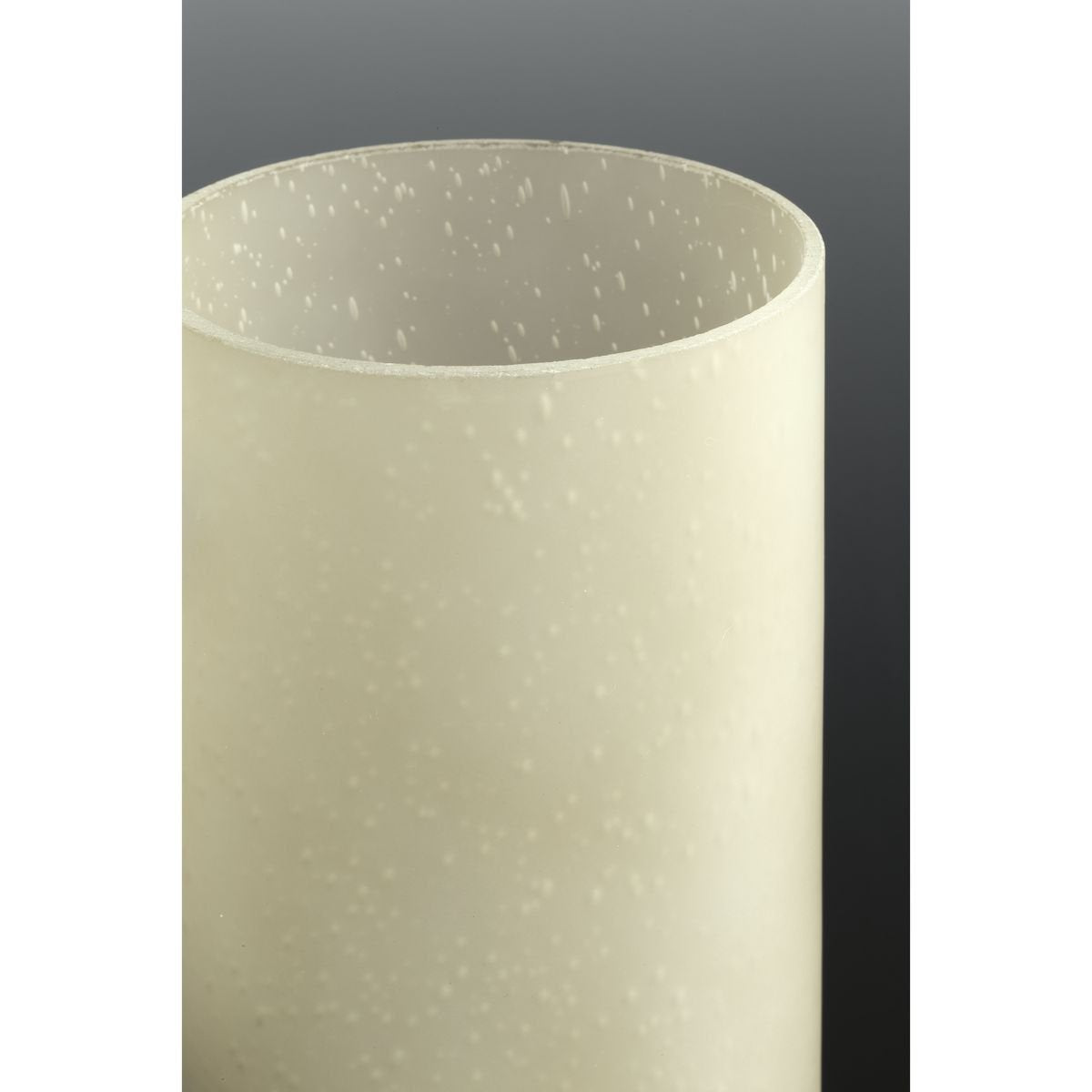 Progress Lighting Hawthorne Outdoor Wall Lantern, 1-Light, Etched Seeded Glass, Textured Black, Aluminum, Model P5625-31