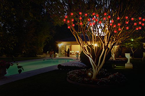 IdeaWorks Outdoor Solar String LED Lights (red)