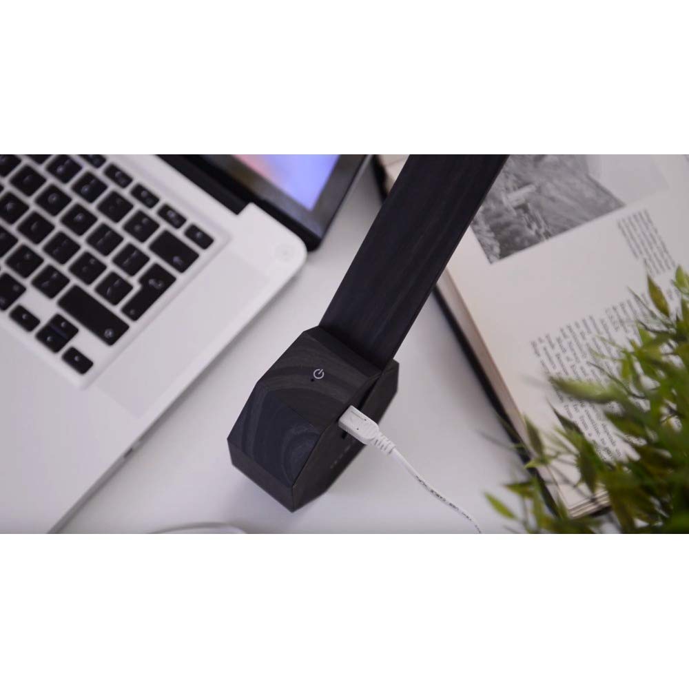 Gingko Octagon One Desk Lamp - Black, Wood, One Size, Model GK11B10