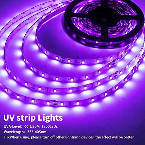 TigQiang Black Light Strip Kit, 66ft Flexible LED, 1200 Lamp Beads, 12V Non-Waterproof, Ideal for Indoor Parties