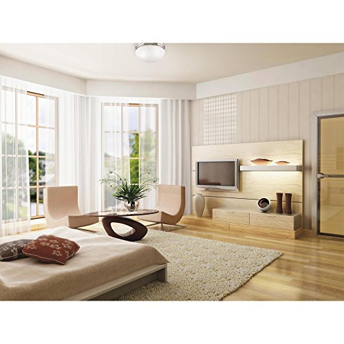 Westinghouse Two-Light Flush-Mount Ceiling Fixture, Brushed Nickel, Frosted Glass, 8.75 Inch Diameter, Model 6721000