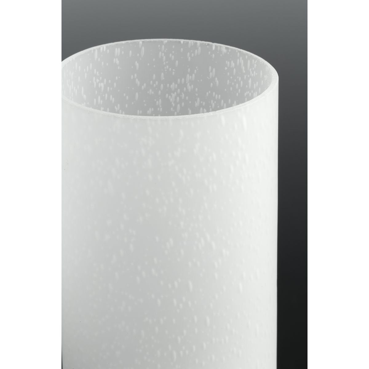 Progress Lighting Hawthorne Outdoor Wall Lantern, 1-Light, Etched Seeded Glass, Textured Black, Aluminum, Model P5625-31