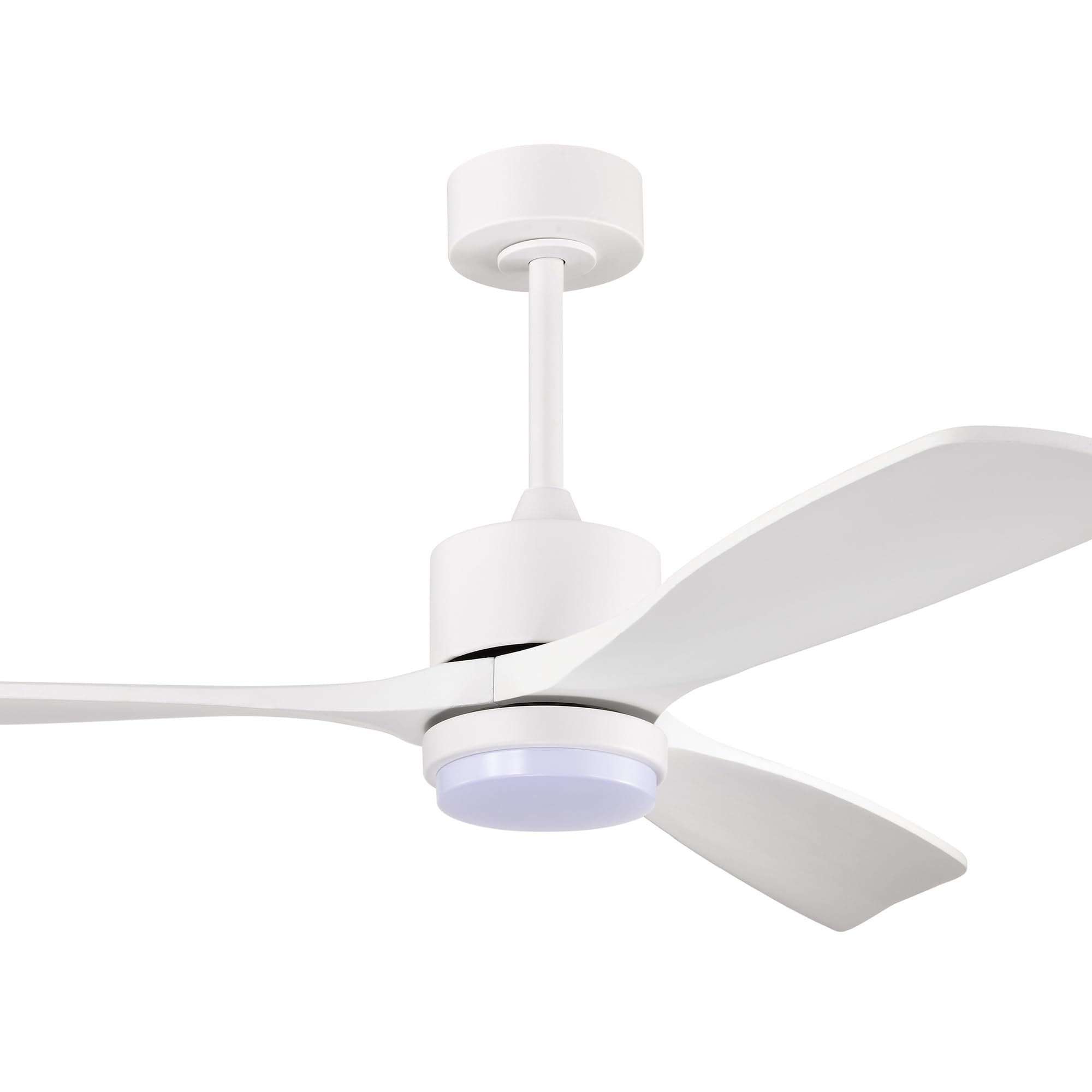 Home Accessories Fergus 5-Blade Lighted Ceiling Fan with LED Lamp with Remote