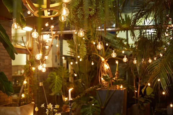 L.A. Nova String Lights Indoor, G50 With 20 Shatterproof Bulbs Led Vintage 24Ft Lights For Bedroom Decor, Pluggable Filament, Transformer Extension, Dimmer…