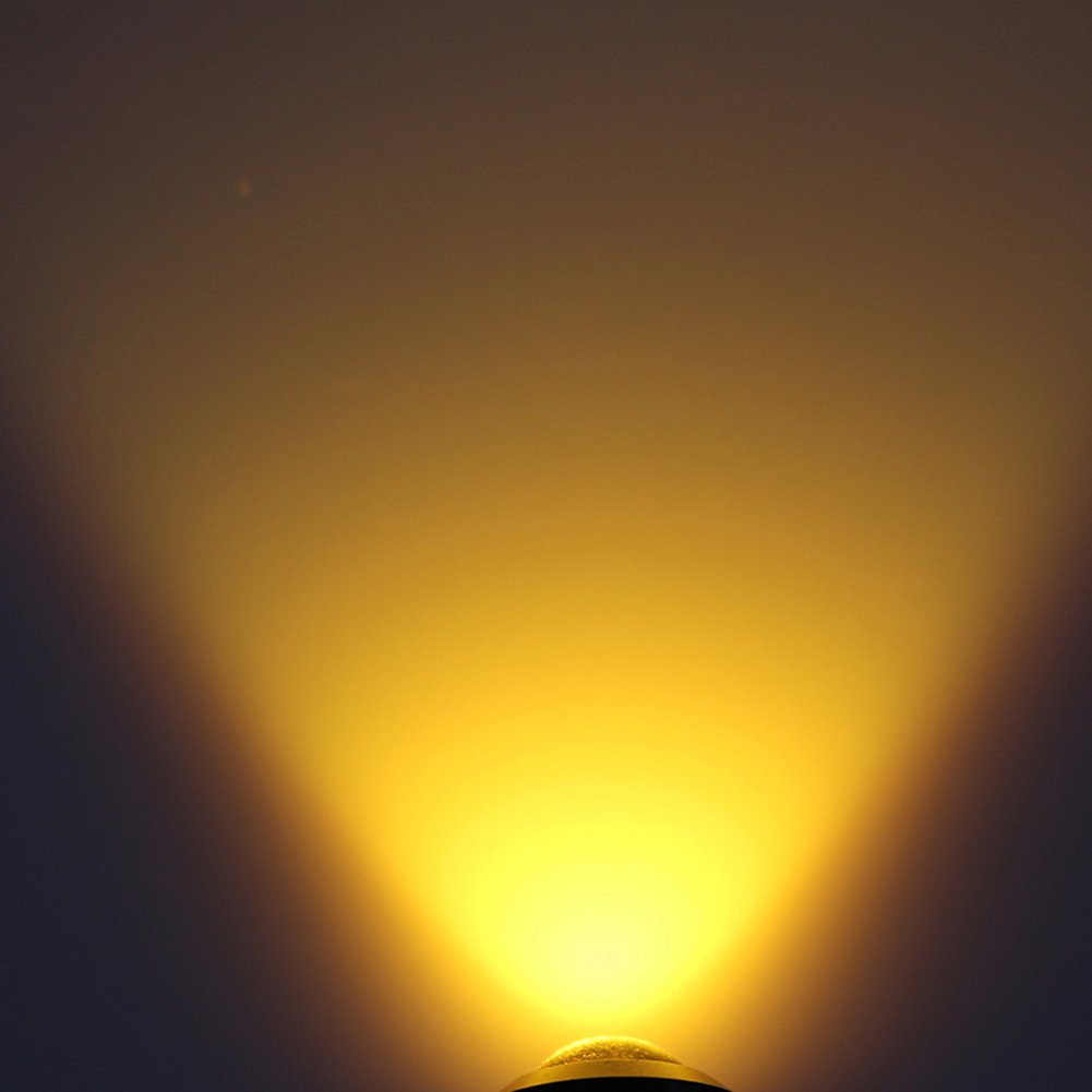 CARLITS Eagle Eye LED Bulbs 10-Pack, Ultra Thin Bumper DRL Fog Lights, 12V, Black Case, Yellow Light