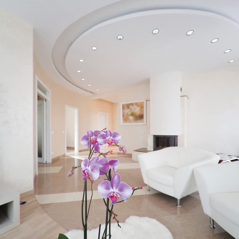 Jesco Lighting Tm204Whwh Trim, Diameter: 5&quot;, Height: 1-1/8&quot;, All White Finish